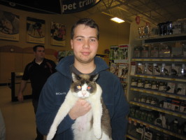 Happy Tail