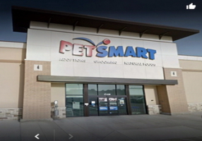 Adoption event